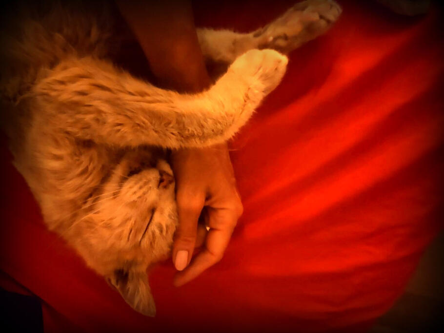 Every caress is a prayer