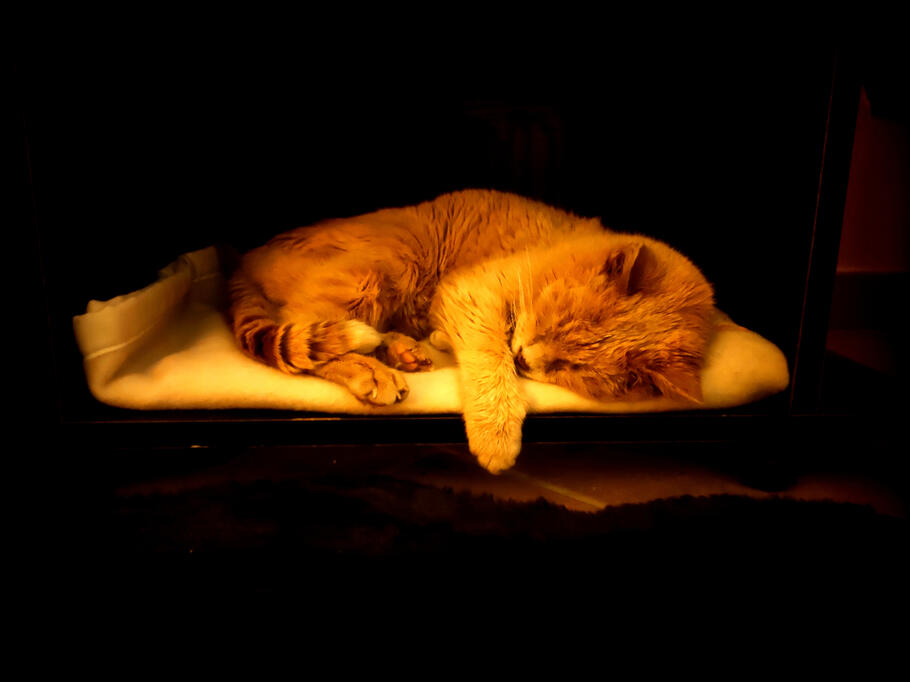 "Let's call it a day" dixit Romeo, 22