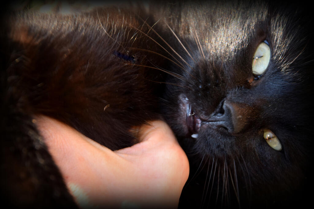 You'll have to trust me