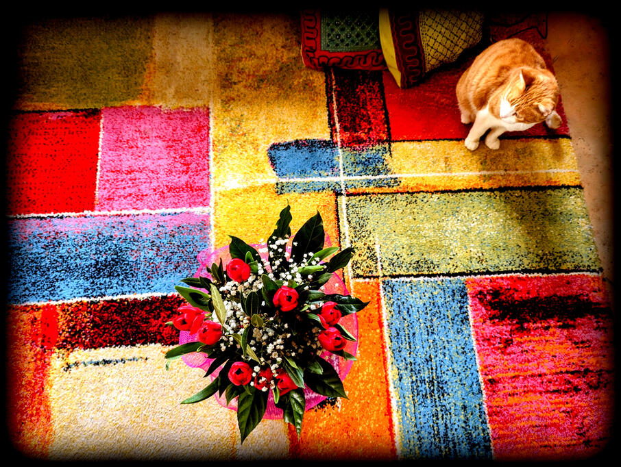 Not sure who they&#39;re for