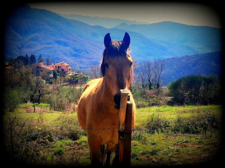 When after the pic you can&#39;t go away