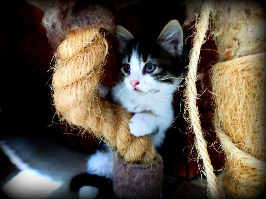 The Age of Innocence