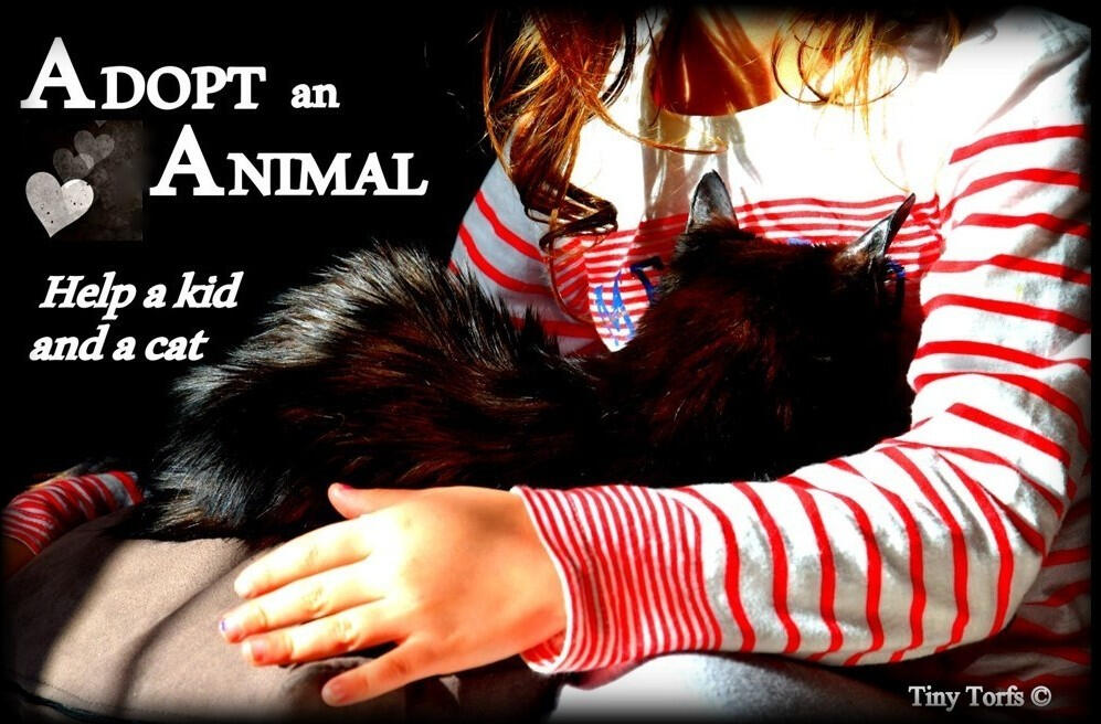 Initiative for World Autism Day