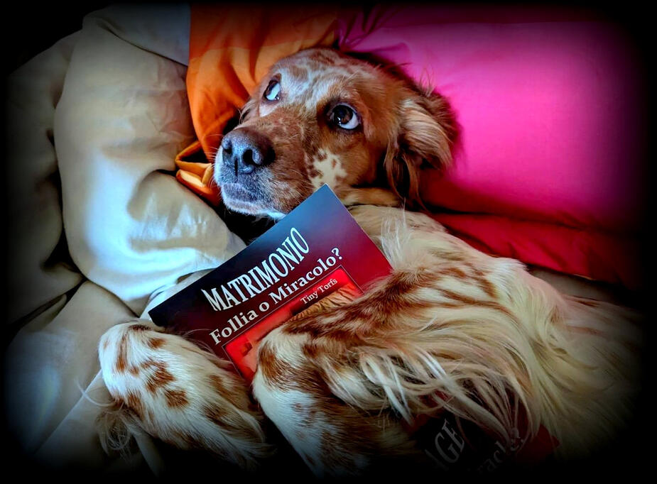 Miracle dog: I found her with my name on her collar