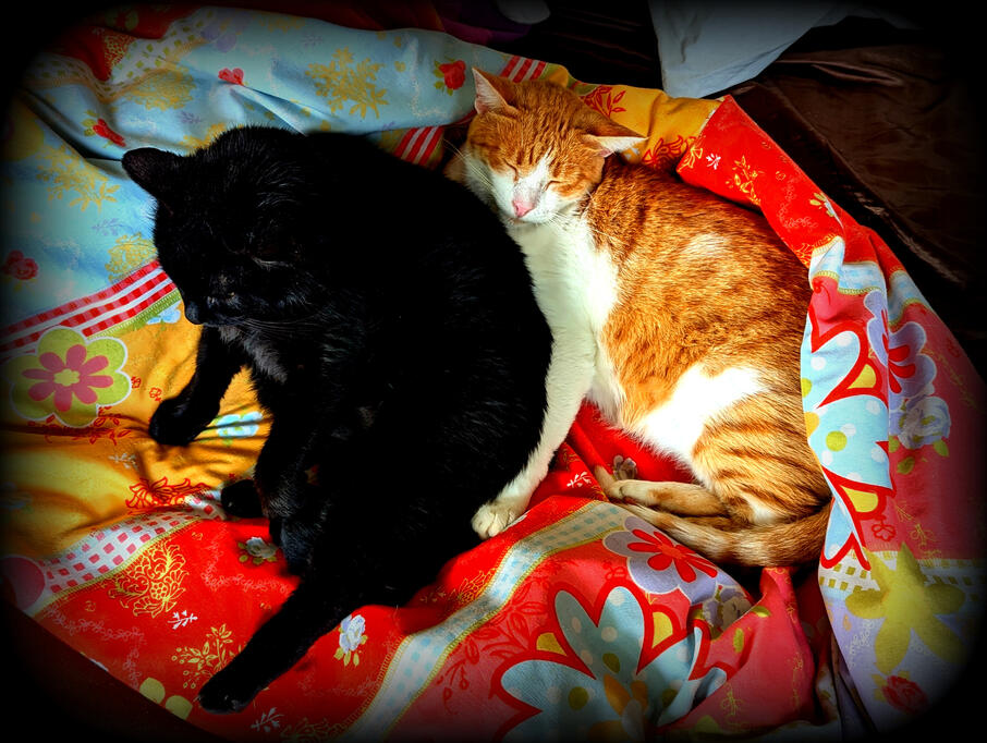 Please don&#39;t you just get up yet