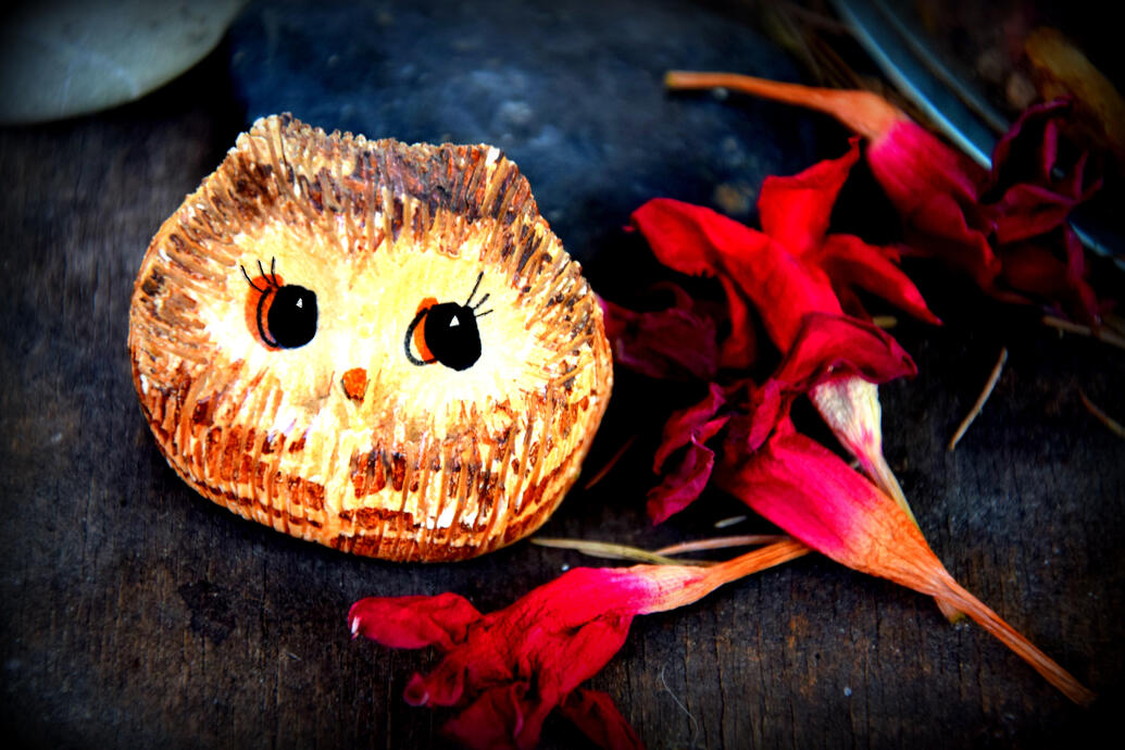 Clicca qui per la versione italiana!