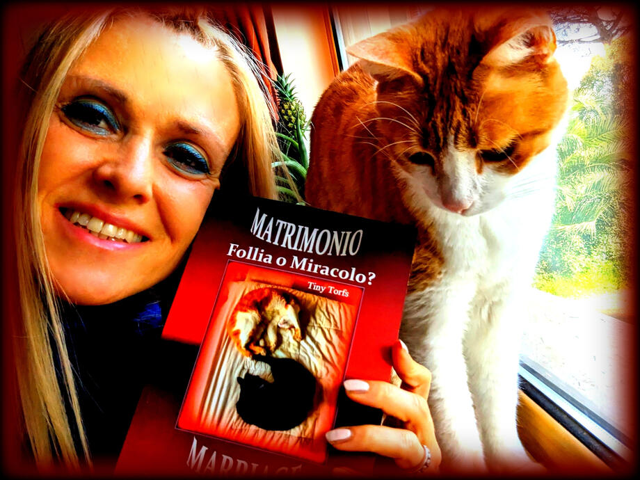 The next picture shows the analogue, first...